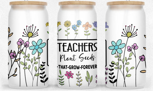 Teacher Plant Seeds